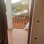 B&B Feral